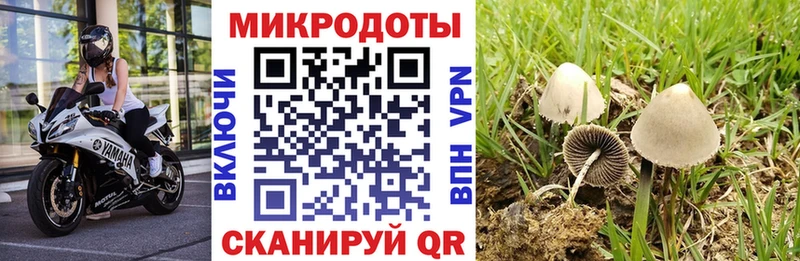 Купить где  Кстово  Галлюциногенные грибы мицелий 